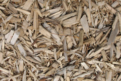 biomass boilers Hobkirk